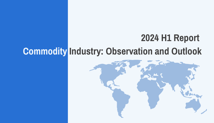 2024 Commodity Industry: Observation and Outlook